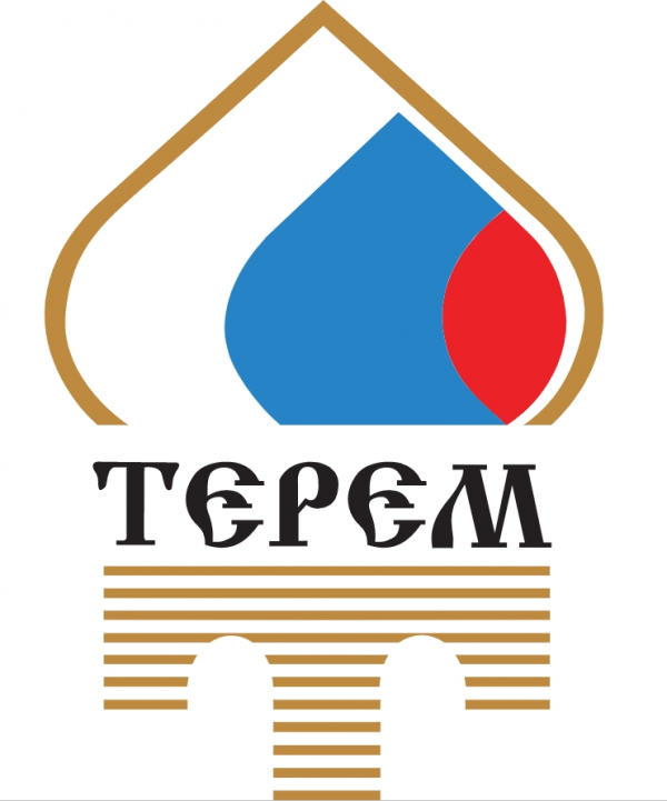 Логотип компании Терем