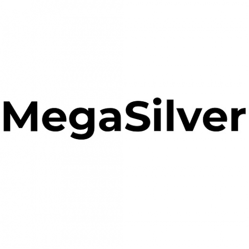 Логотип компании MegaSilver