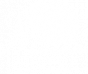 Логотип компании Магия дерева